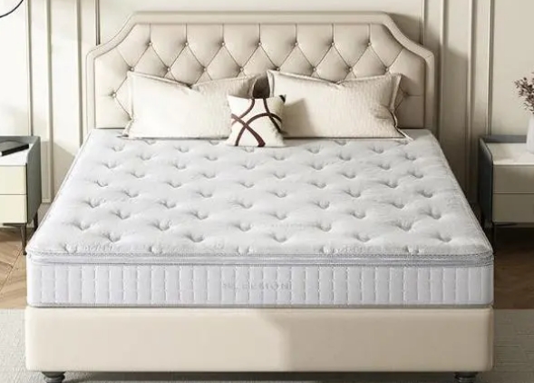 <a href=http://m.040198.cn/news_article.html?news_id=166>酒店床墊銷售廠家</a>