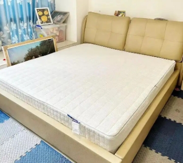 <a href=http://m.040198.cn/news_article.html?news_id=174>天津床墊廠家</a>